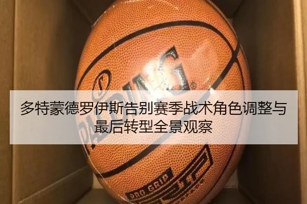 多特蒙德罗伊斯告别赛季战术角色调整与最后转型全景观察